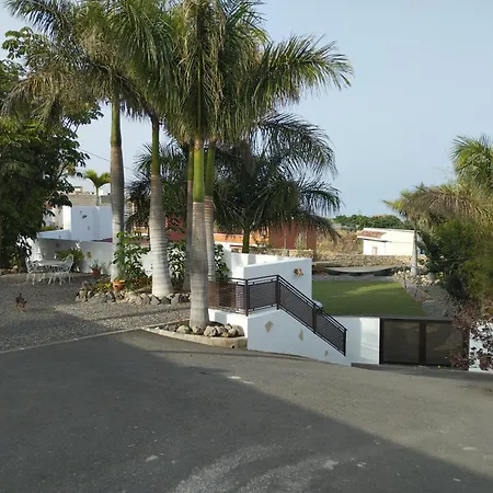 Palmeras B * Güimar