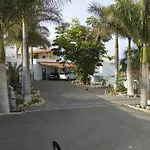 Palmeras B *