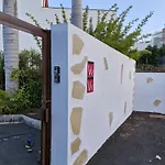 Palmeras B