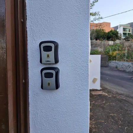 Palmeras B * Güímar