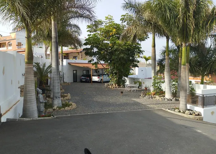 Palmeras B *