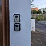 Palmeras B * Güimar